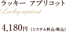 ラッキー アプリコット　4,180円(税込)